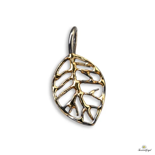 Beech Autumn - Vedh�ng